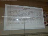 My Gallery (43/43)